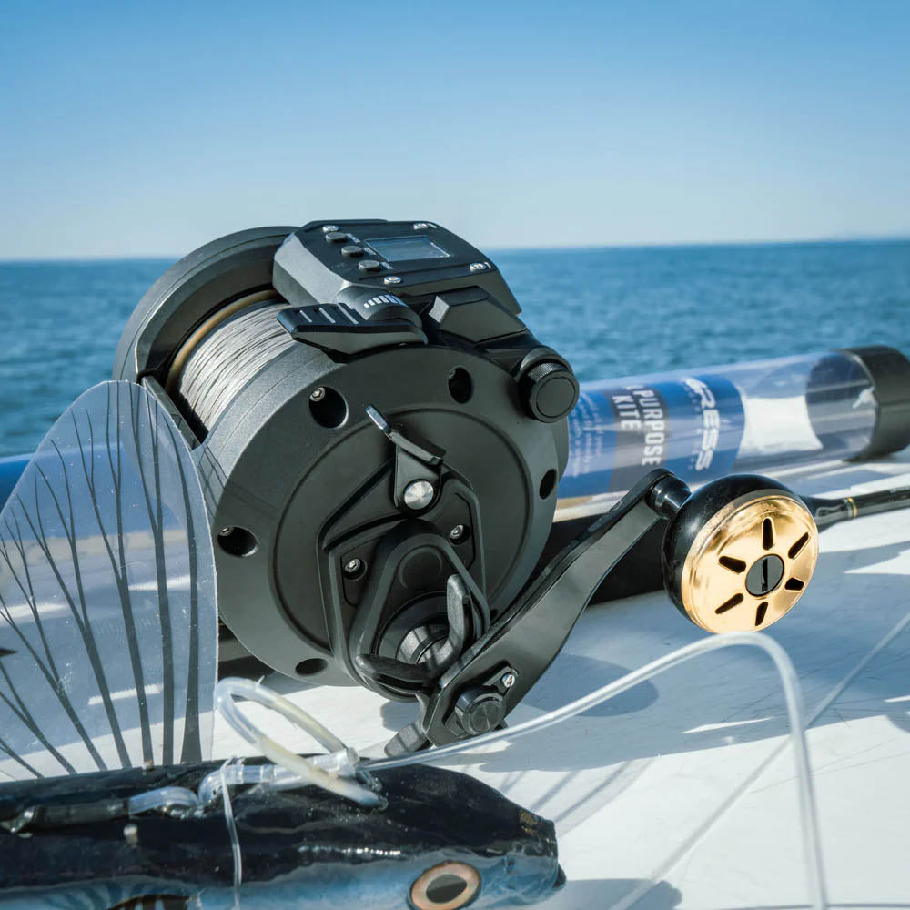Daiwa Tanacom 800 Power Assist Electric Dendoh Reel