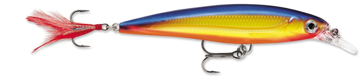 Rapala XR-06 X-Rap Shallow Diving Jerkbait - 2.5 Inch