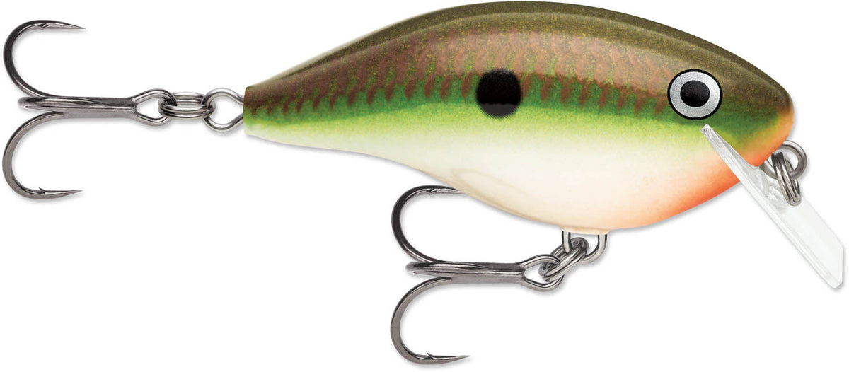 Rapala OG Rocco 05 Squarebill Crankbait - 2.5 Inch