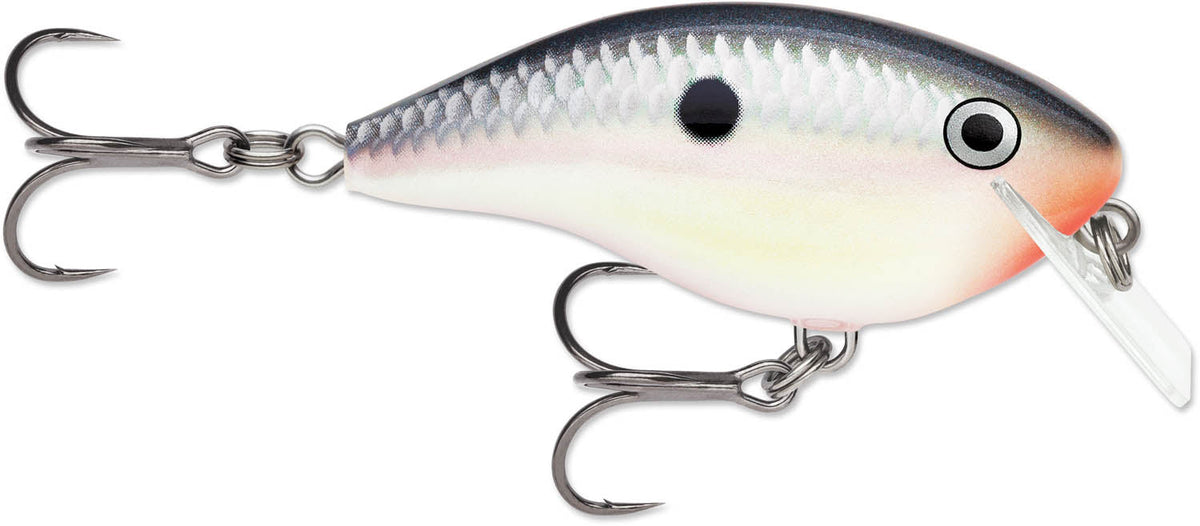 Rapala OG Rocco 05 Squarebill Crankbait - 2.5 Inch