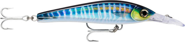 Rapala XRMXT-160 X-Rap Magnum Extreme Big Game Trolling Lure - 8 Inch
