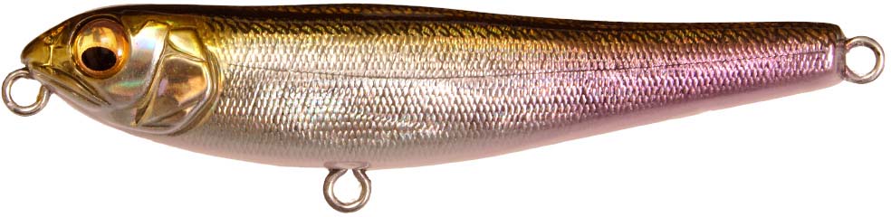 Megabass Dog-X JR Coayu (BFS)