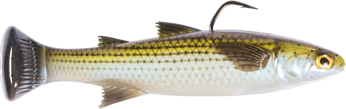 Z-Man Mulletron Line Through Moderate Sinking Swimbaits