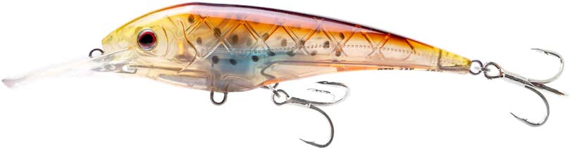 Nomad Design DTX Minnow 145 Shallow Floating - 5.75 Inch