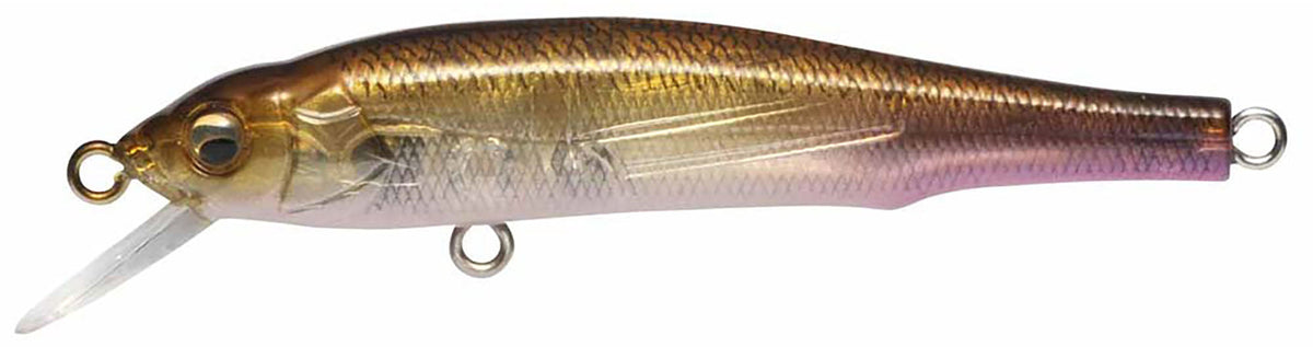 Megabass X-70 BFS
