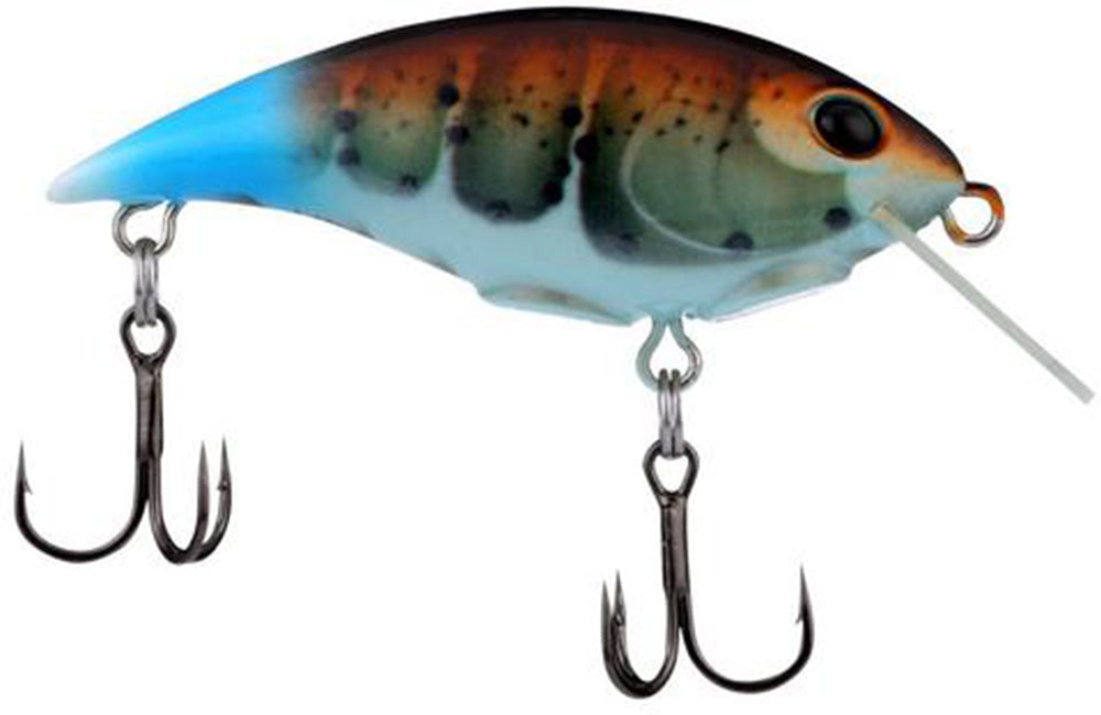 Berkley Shallow Money Badger Crankbait - 2.1 Inch