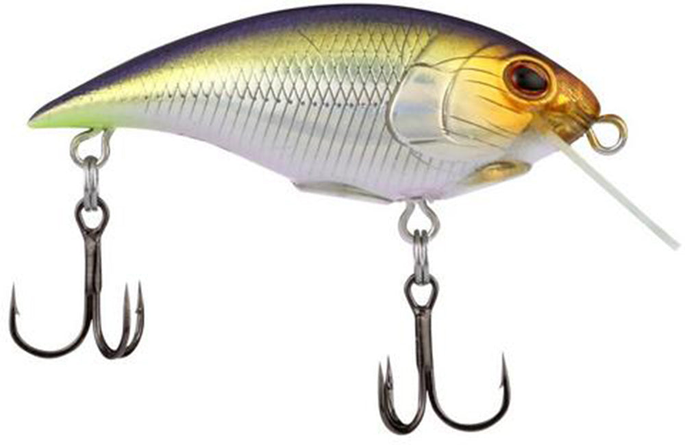Berkley Shallow Money Badger Crankbait - 2.1 Inch
