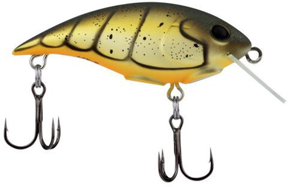 Berkley Shallow Money Badger Crankbait - 2.1 Inch