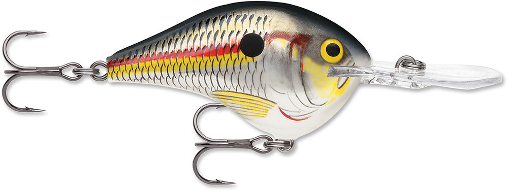 Rapala DT 12 Series Crankbait - 2.25 Inch