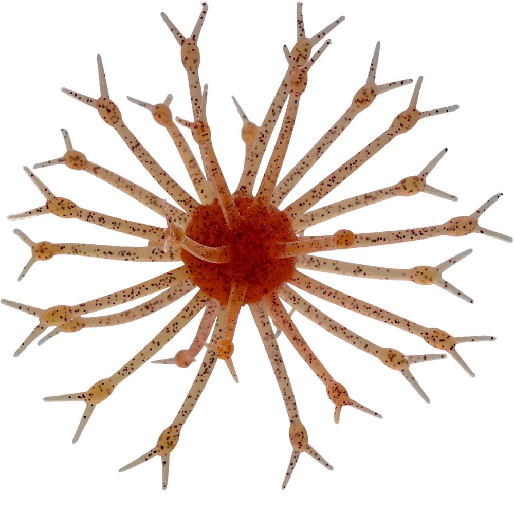 G-Ratt Pop-A-Web Urchin - 25mm
