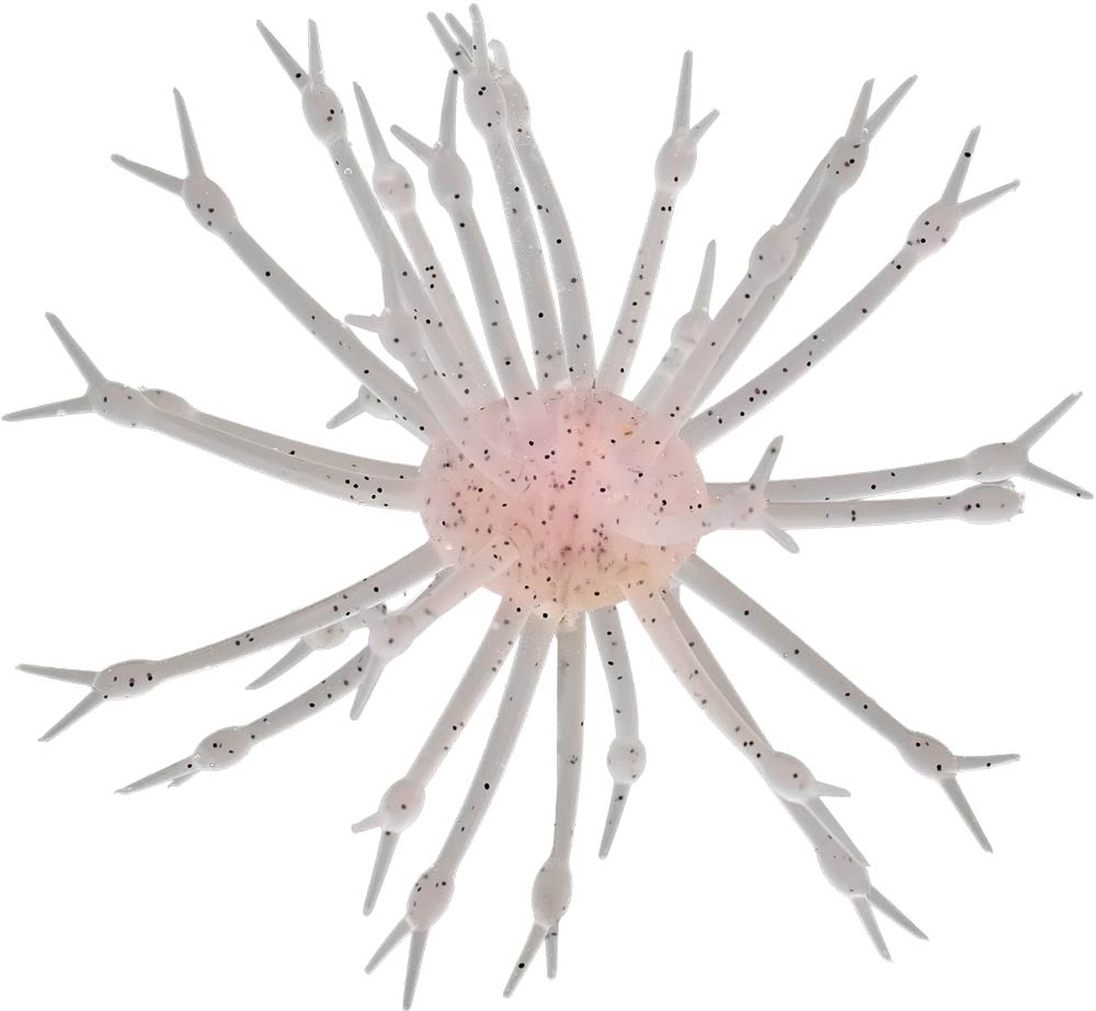G-Ratt Pop-A-Web Urchin - 25mm