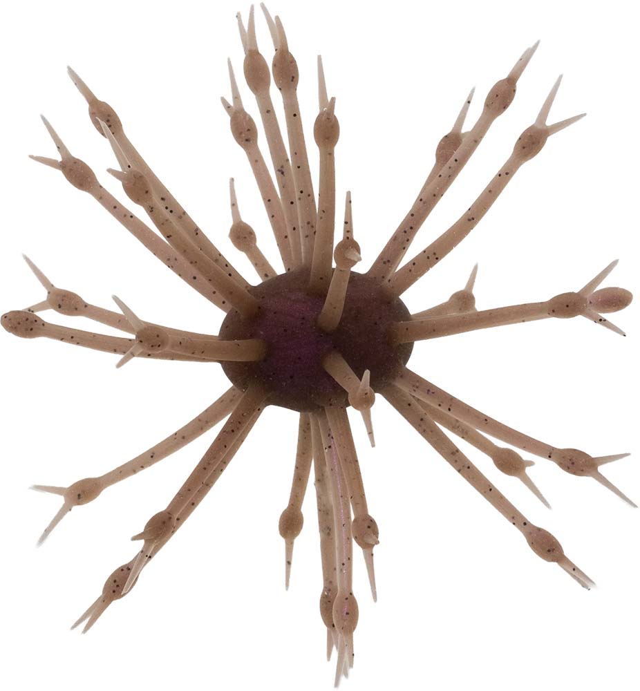 G-Ratt Pop-A-Web Urchin - 25mm