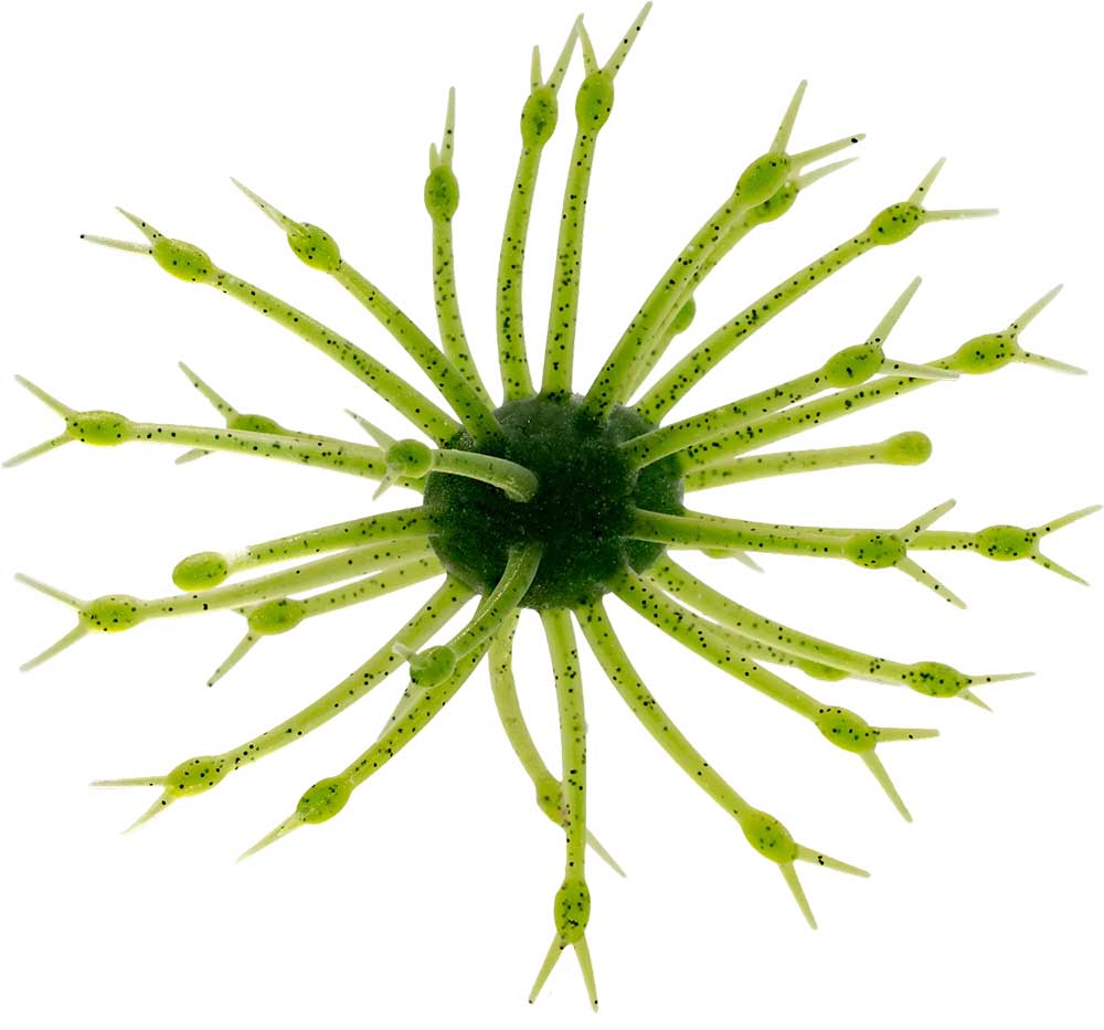 G-Ratt Pop-A-Web Urchin - 25mm