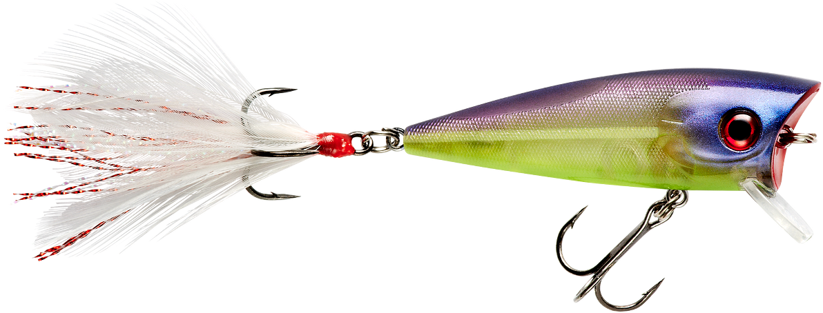Booyah Prank 2 1/2 inch Topwater Popper