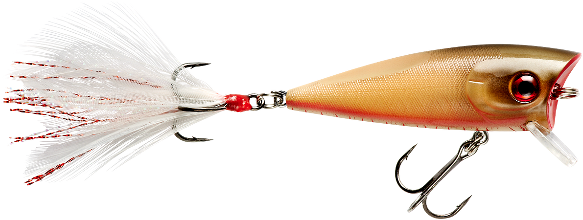 Booyah Prank 2 1/2 inch Topwater Popper