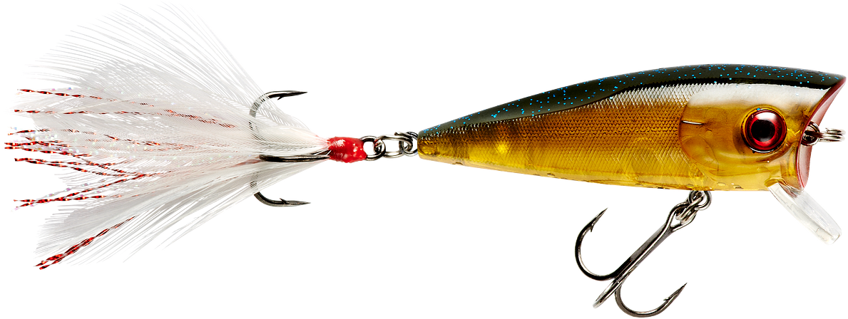 Booyah Prank 2 1/2 inch Topwater Popper