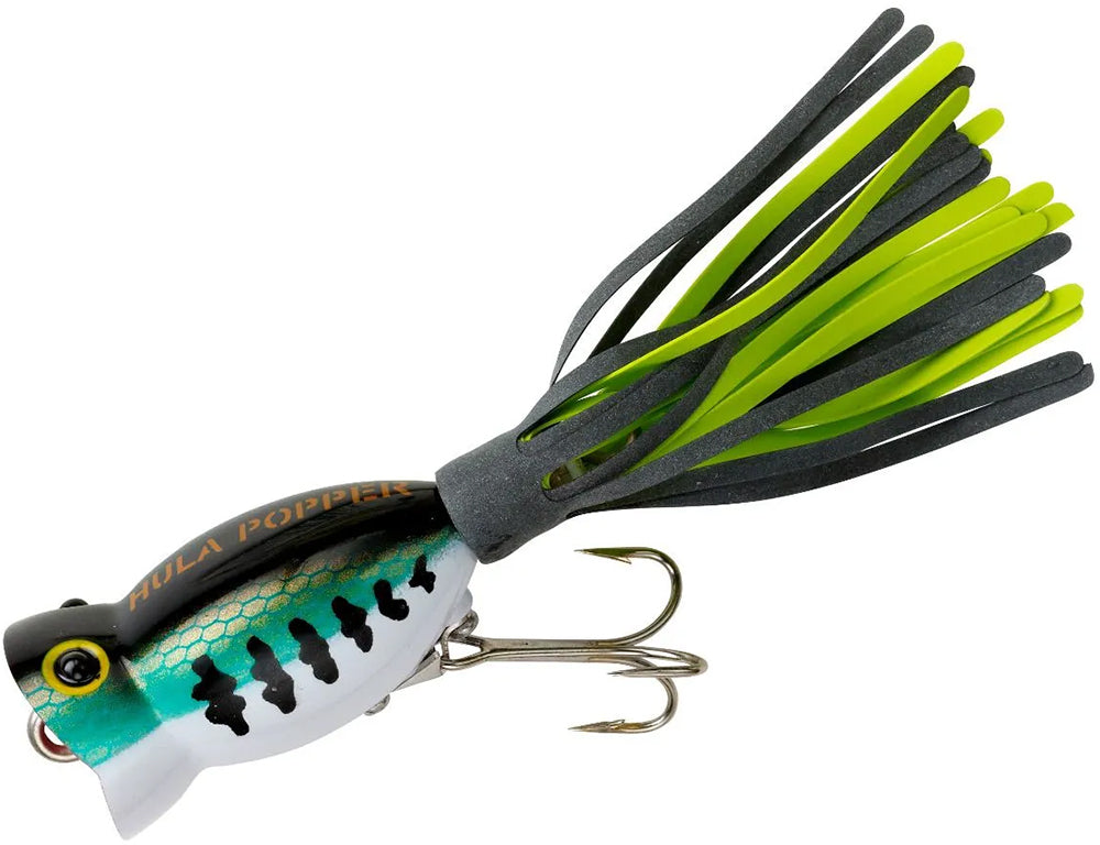 Arbogast Hula Popper Topwater Popper