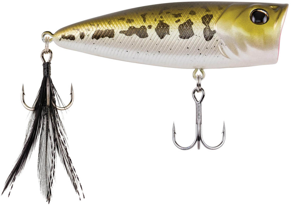 Berkley Bullet Pop 60/70/80 Topwater Popper