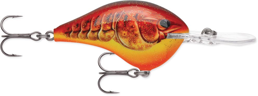 Rapala DT Series Crankbait DT10