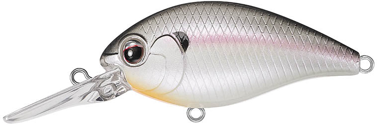 Evergreen International CR-6 Medium Diving Crankbait