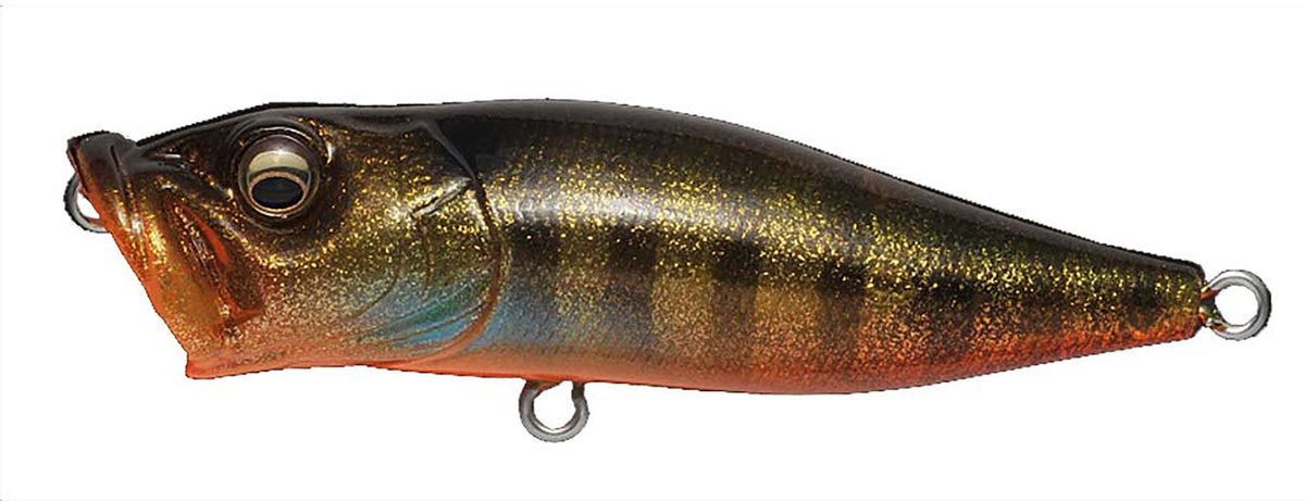 Megabass Pop-X Topwater Popper