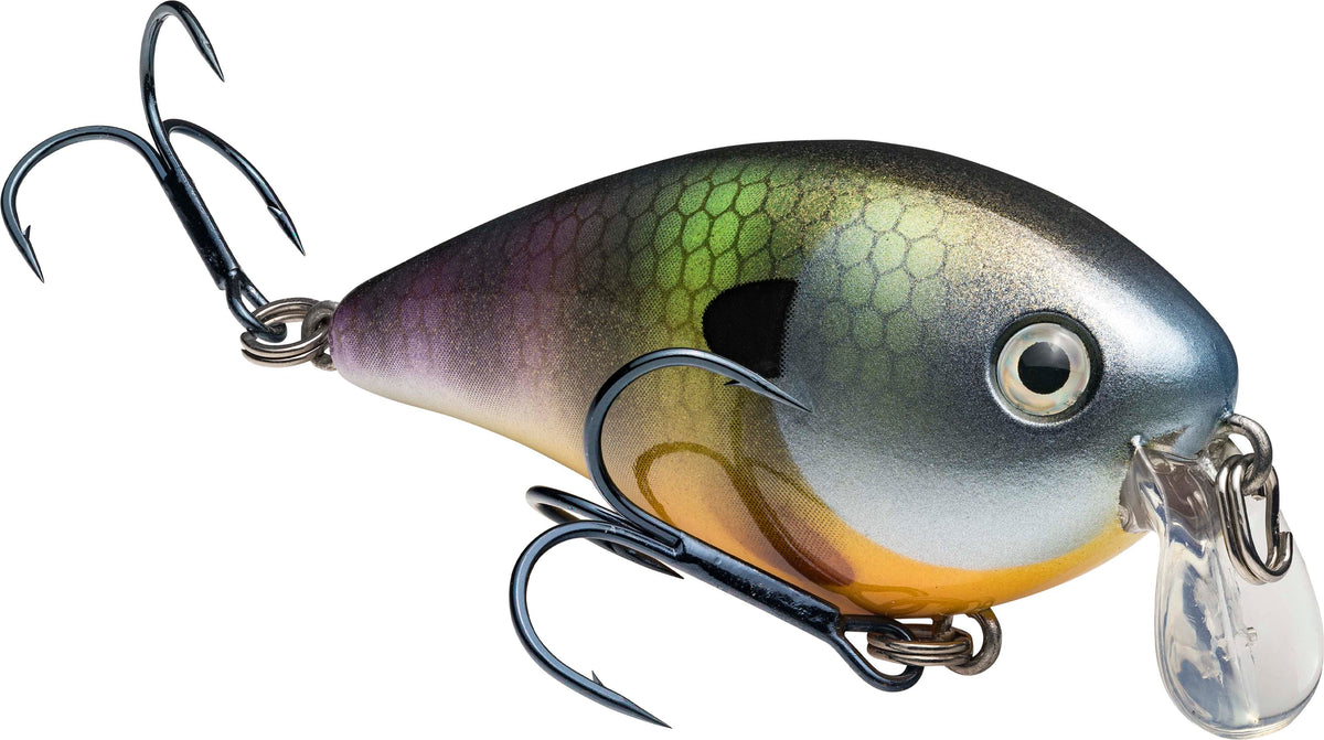 Strike King KVD Square Bill 1.5 Shallow Silent Crankbait