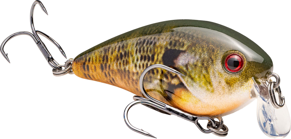 Strike King KVD Square Bill 1.5 Shallow Silent Crankbait