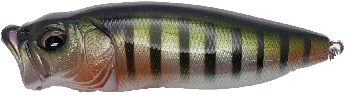 Megabass PopMax Topwater Popper