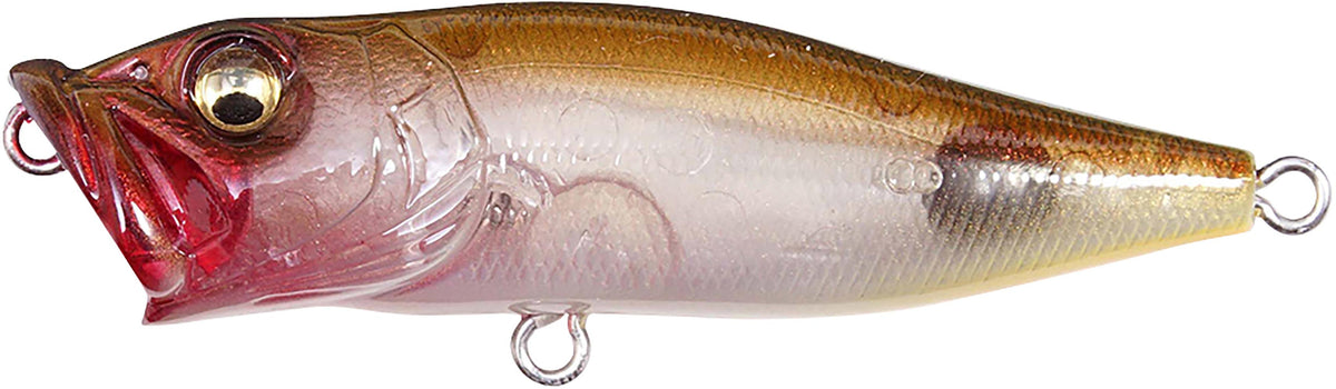 Megabass Pop-X Topwater Popper