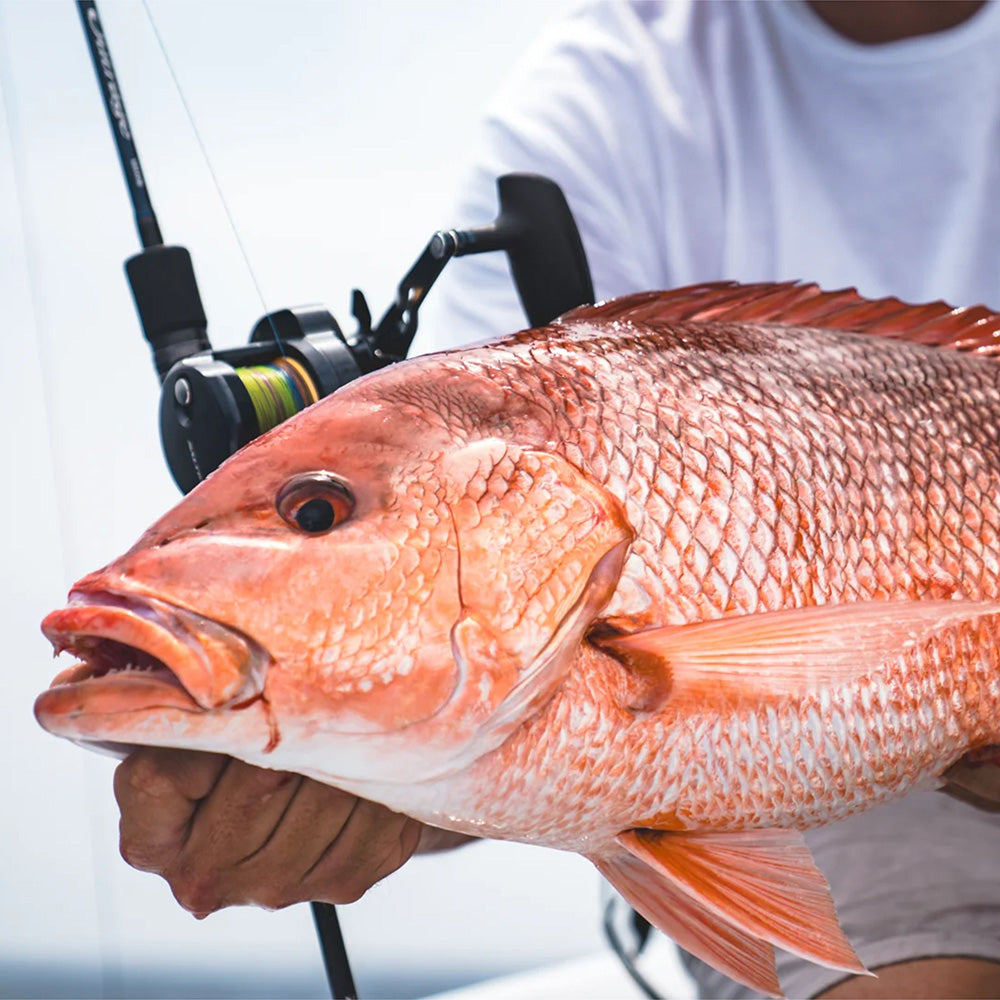 Daiwa Saltiga 10 Conventional Jigging Reel
