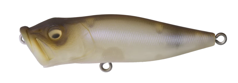 Megabass Pop-X Topwater Popper
