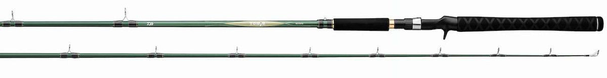 Daiwa TD Eye Series Trolling/Casting Rods
