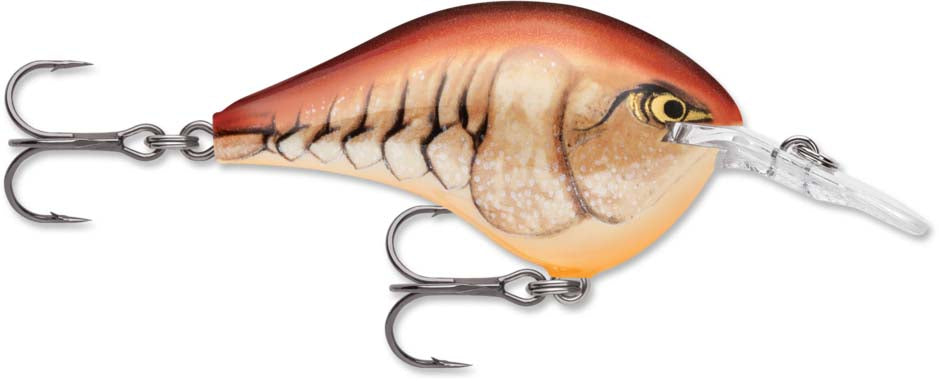 Rapala DT Series Crankbait DT6