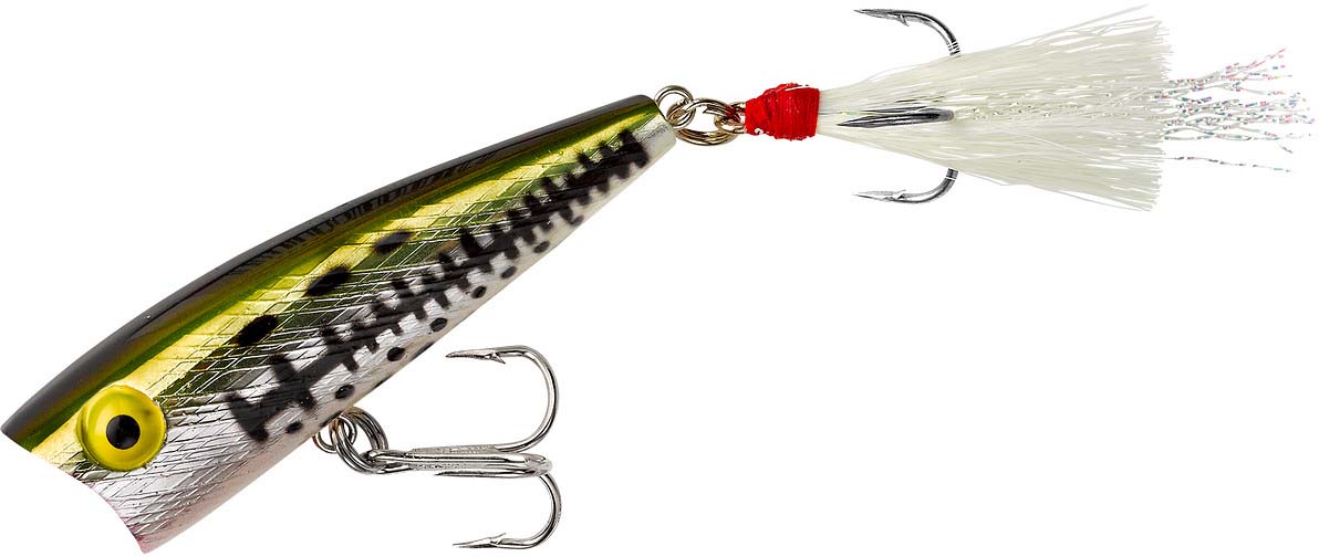 Rebel Pop-R Topwater Popper