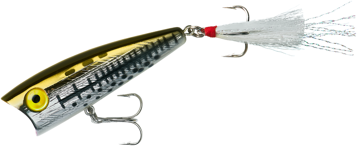 Rebel Pop-R Topwater Popper