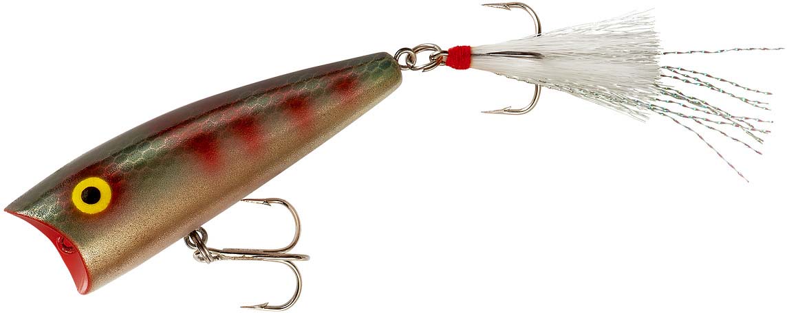 Rebel Pop-R Topwater Popper