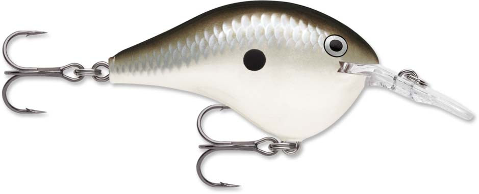 Rapala DT Series Crankbait DT6