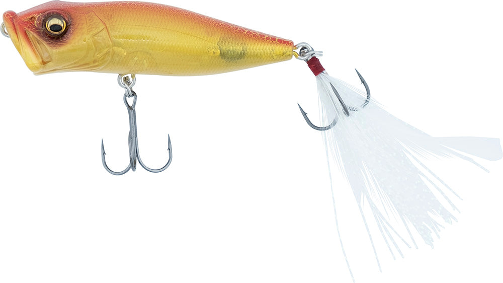 Megabass Pop-X Topwater Popper