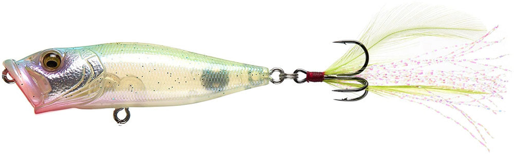 Megabass Pop-X Topwater Popper