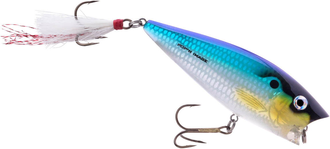 Heddon Pop'n Image 3 inch Topwater Popper