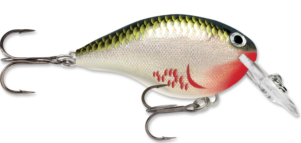 Rapala DT Series Crankbait DT4
