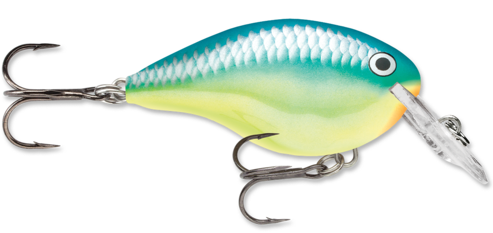 Rapala DT Series Crankbait DT4