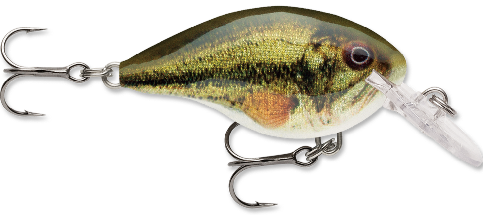 Rapala DT Series Crankbait DT4