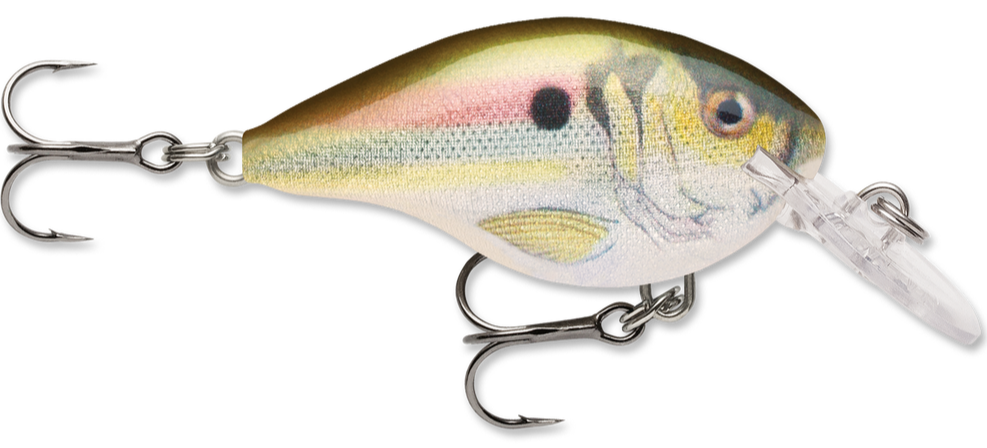 Rapala DT Series Crankbait DT4