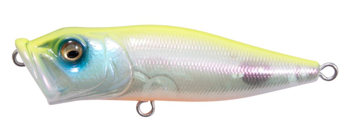 Megabass Pop-X Topwater Popper