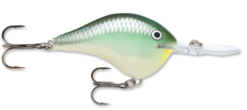Rapala DT Series Crankbait DT10