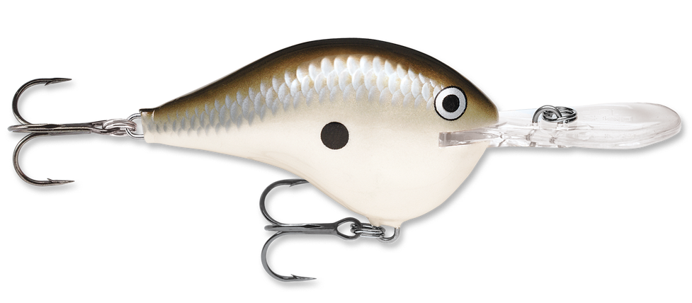 Rapala DT Series Crankbait DT10