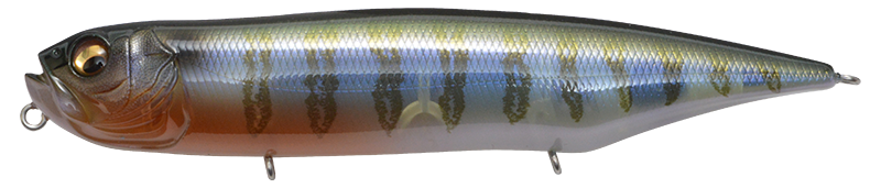 Megabass Dog-X Diamante Rattling Topwater Walker
